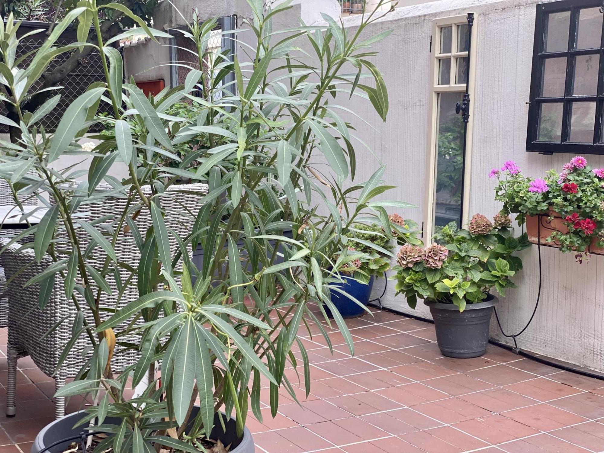 Homestay Georgian Guest *